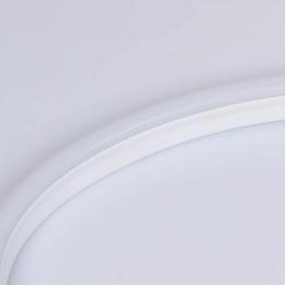 Гибкий неон Arlight 6W/m 108LED/m 2835SMD дневной белый 50M ARL-CF2835-Mini-24V Day  - 2