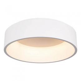 Потолочный светодиодный светильник Arlight SP-Tor-Ring-Surface-R460-33W Day4000  - 2