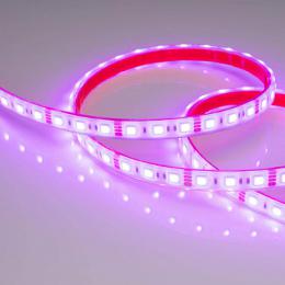 Светодиодная лента Arlight 14,4W/m 60LED/m 5060SMD красный 5M  - 3