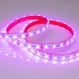 Светодиодная лента Arlight 14,4W/m 60LED/m 5060SMD красный 5M  - 2