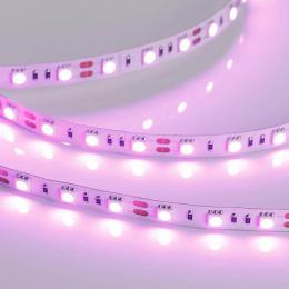 Светодиодная лента Arlight 14,4W/m 60LED/m 5060SMD розовый 5M  - 3