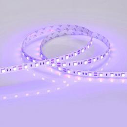 Светодиодная лента Arlight 14,4W/m 60LED/m 5060SMD синий 5M  - 2