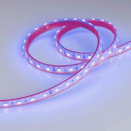 Светодиодная лента Arlight 14,4W/m 60LED/m 5060SMD синий 5M  - 2