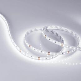 Светодиодная лента Arlight 14W/m 120LED/m 2216SMD белый 5M  - 2