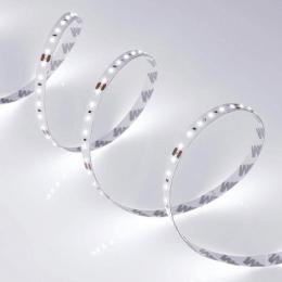 Светодиодная лента Arlight 14W/m 120LED/m 2216SMD белый 5M  - 3