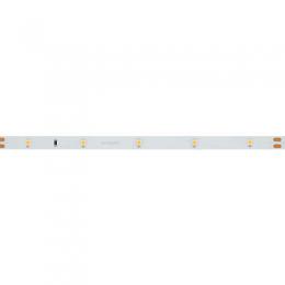 Светодиодная лента Arlight 2,9W/m 30LED/m 3528SMD холодный белый 5M  - 3