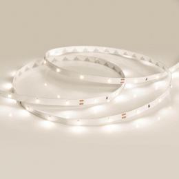 Светодиодная лента Arlight 2,9W/m 30LED/m 3528SMD теплый белый 5M  - 3