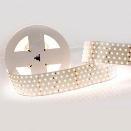 Светодиодная лента Arlight 36W/m 350LED/m 2835SMD теплый белый 2,5M  - 3