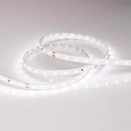 Светодиодная лента Arlight 4,6W/m 60LED/m 2835SMD дневной белый 30M  - 2