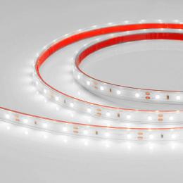 Светодиодная лента Arlight 4,8W/m 60LED/m 3528SMD белый 5M  - 3