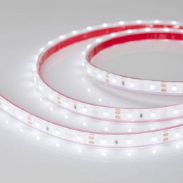Светодиодная лента Arlight 4,8W/m 60LED/m 3528SMD белый 5M  - 2