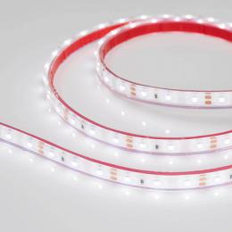 Светодиодная лента Arlight 4,8W/m 60LED/m 3528SMD дневной белый 5M  - 2