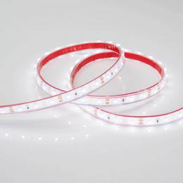 Светодиодная лента Arlight 4,8W/m 60LED/m 3528SMD дневной белый 5M  - 4