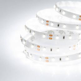 Светодиодная лента Arlight 4,8W/m 60LED/m 3528SMD дневной белый 5M  - 2