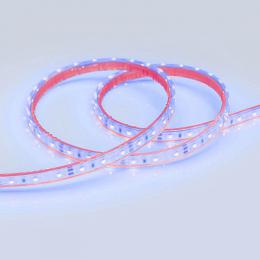 Светодиодная лента Arlight 4,8W/m 60LED/m 3528SMD синий 5M  - 2