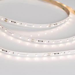 Светодиодная лента Arlight 4,8W/m 60LED/m 3528SMD теплый белый 20M  - 3