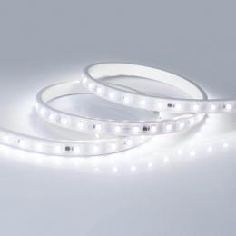 Светодиодная лента Arlight 8W/m 54LED/m 5060SMD холодный белый 50M  - 2