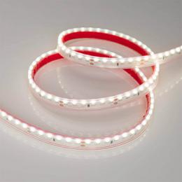 Светодиодная лента Arlight 9,6W/m 120LED/m 3014SMD дневной белый 5M  - 2