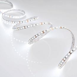 Светодиодная лента Arlight 9,6W/m 120LED/m 3528SMD белый 5M  - 3