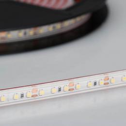 Светодиодная лента Arlight 9,6W/m 120LED/m 3528SMD белый 5M  - 4