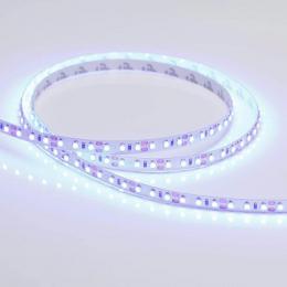 Светодиодная лента Arlight 9,6W/m 120LED/m 3528SMD синий 5M  - 2