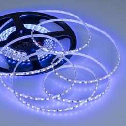 Светодиодная лента Arlight 9,6W/m 120LED/m 3528SMD синий 5M  - 2