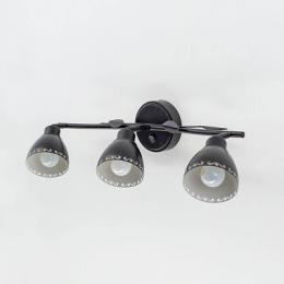 Спот Citilux Робуста  - 5