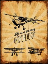 Изображение продукта Картина на мдф Ekoramka 30x40 ENJOY THE FLIGHT 