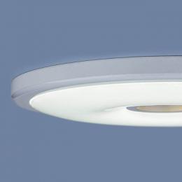 Встраиваемый светодиодный светильник Elektrostandard 9912 LED 6+4W WH белый  - 5