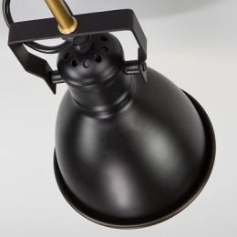 Потолочная люстра Eurosvet Denley  - 2