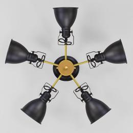 Потолочная люстра Eurosvet Denley  - 5
