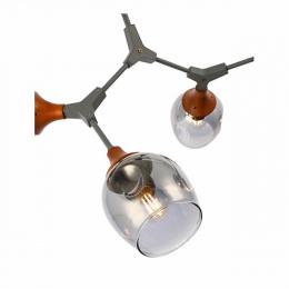 Потолочная люстра Evoluce Ciotolla  - 4
