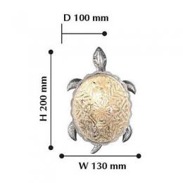 Настенный светодиодный светильник Favourite Turtle  - 4