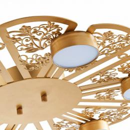 Потолочная светодиодная люстра Favourite Ornamentum  - 5
