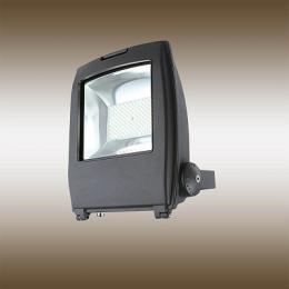 Прожектор светодиодный Globo Projecteur I 80W  - 2