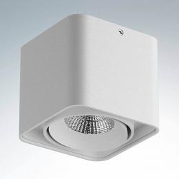 Потолочный светодиодный светильник Lightstar Monocco  - 2
