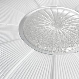 Потолочный светодиодный светильник Lussole Lgo Moonlight  - 4