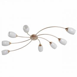 Изображение продукта Потолочная люстра MW-Light Олимпия 