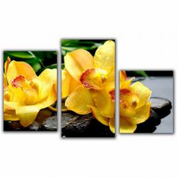 Изображение продукта Мини модульная картина Желтый пестик Toplight 55х94см 