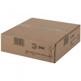 Гибкий неон ЭРА 2835SMD холодный белый 20M  Б0043073  - 2