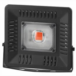 Изображение продукта Прожектор светодиодный ЭРА 50W 1370K  Б0039033 