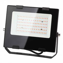 Изображение продукта Прожектор светодиодный ЭРА PRO 50W 1200K  Б0046368 